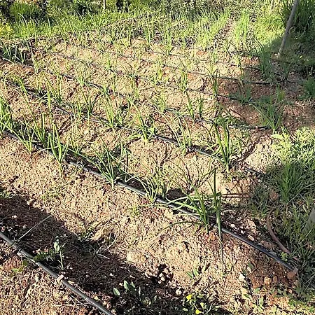 Serawa Szálloda Moraira