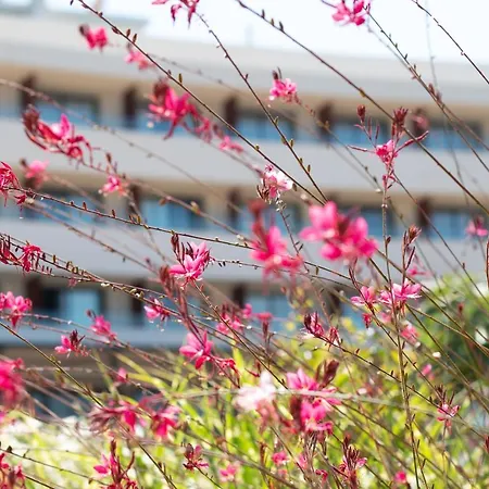 Hotel Serawa Moraira