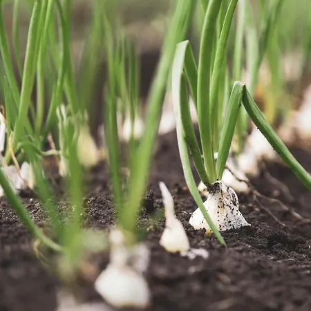 Hotel Serawa Moraira